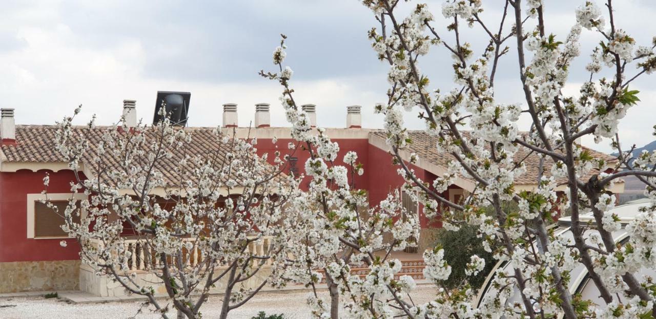 Alojamientos Casa Ruiz Archivel 外观 照片